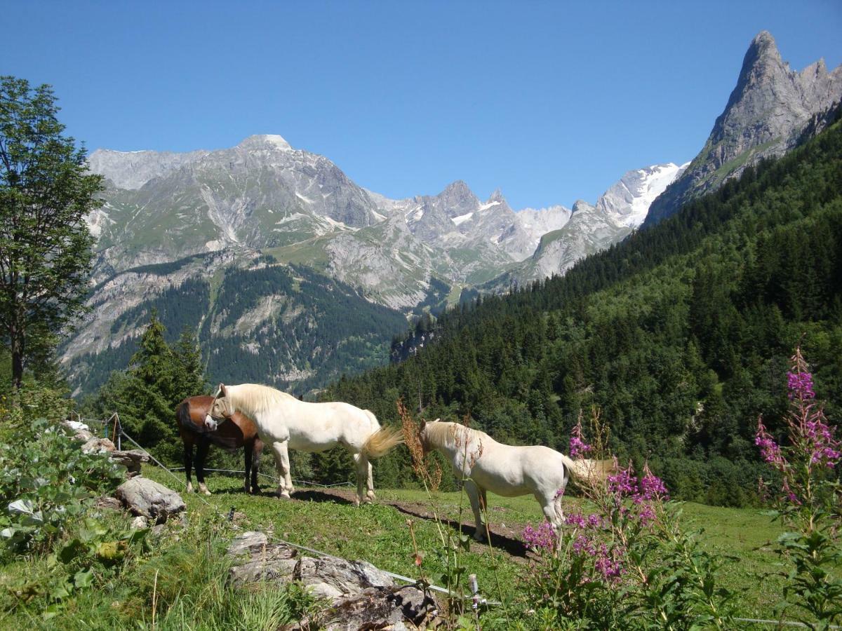 Villa La Grange à Pralognan-la-Vanoise Extérieur photo